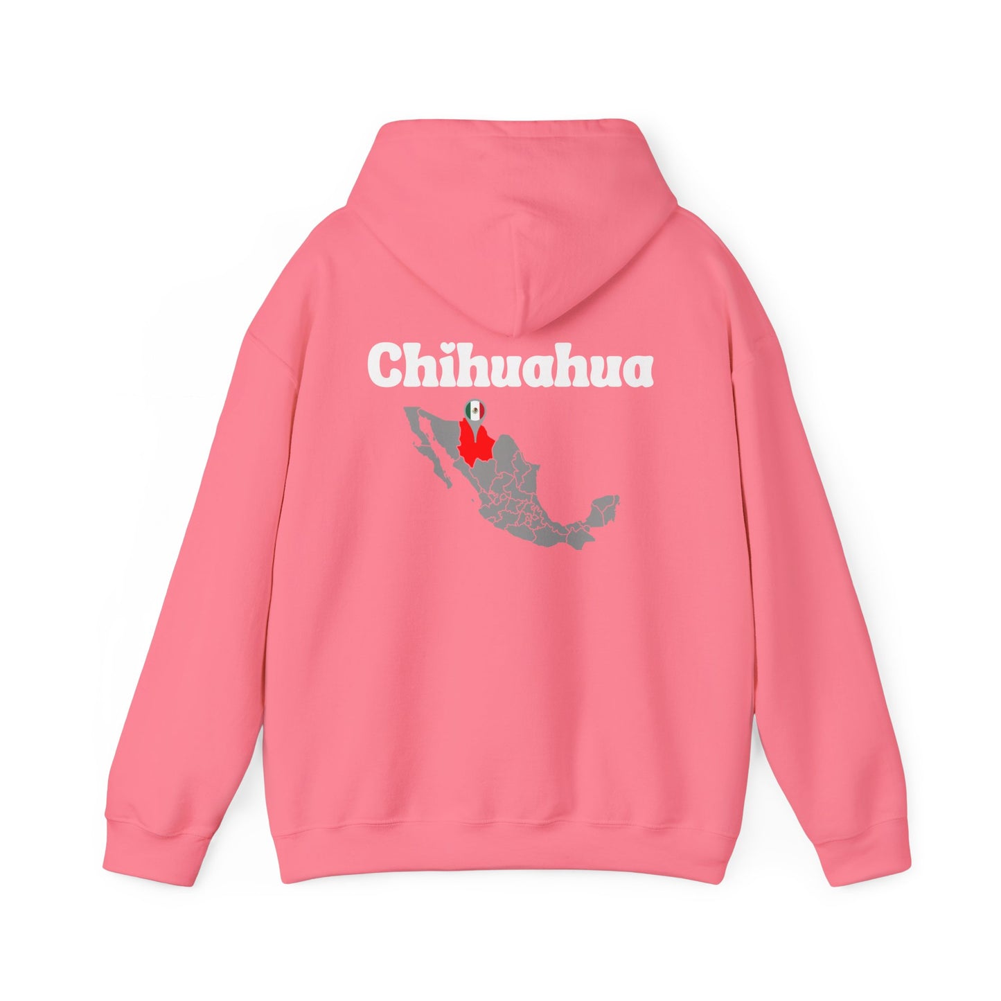 Chihuahua Mexico Pin Drop Hoodie